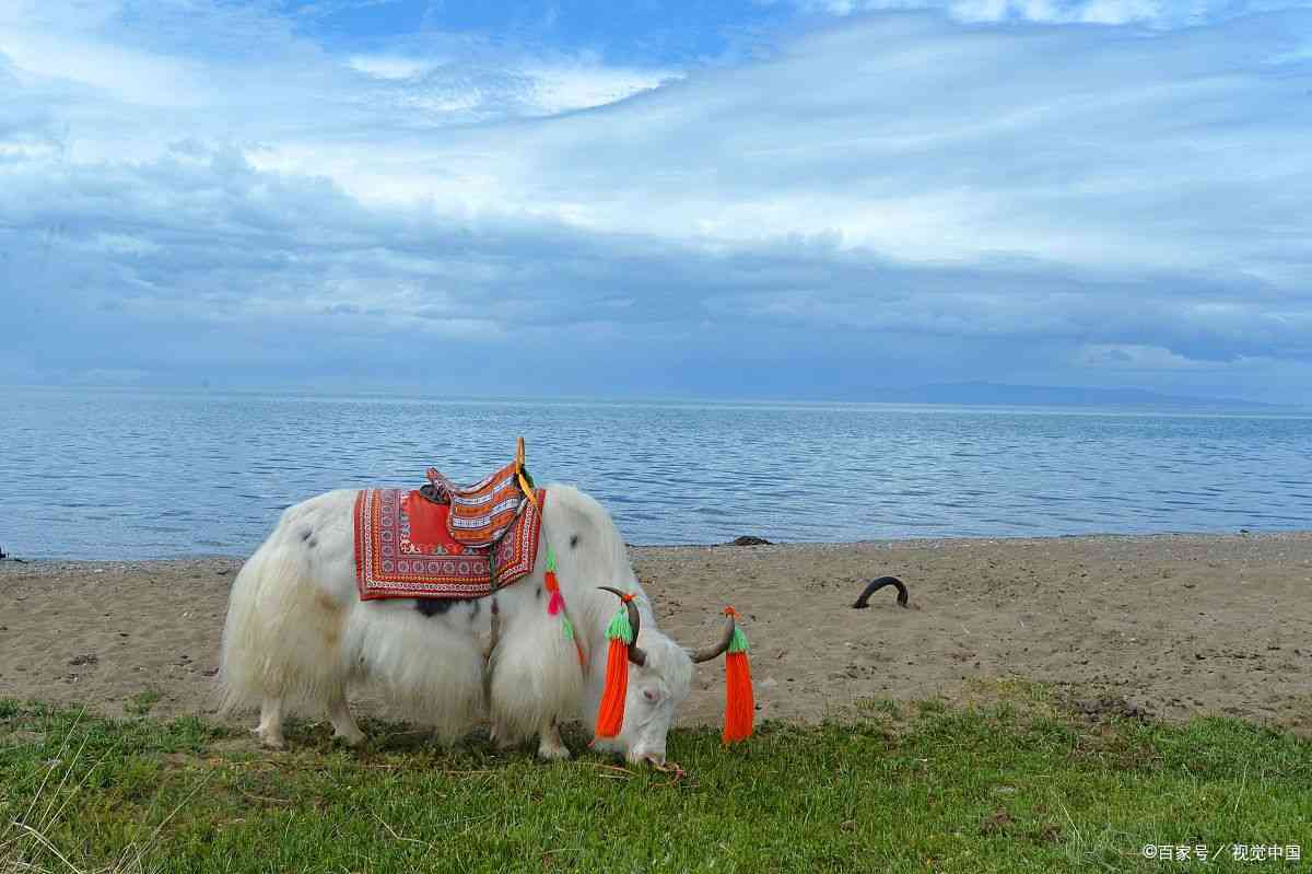 青海必去景点大全